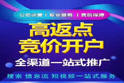 成功SEM推广竞价案例分享